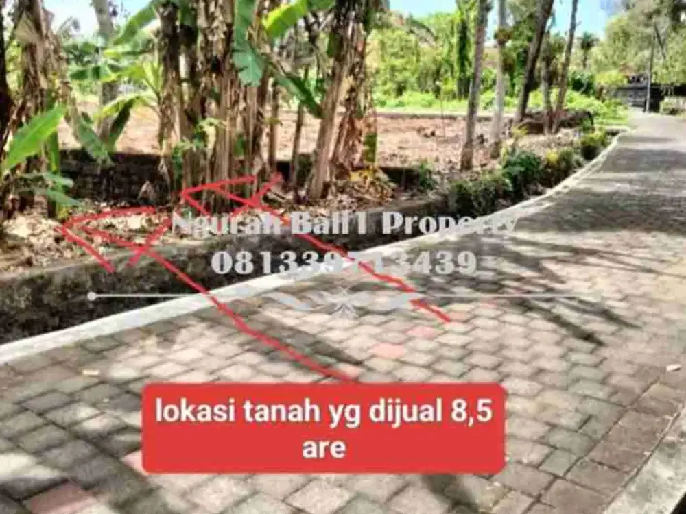 Dijual Tanah Murah Luas  8,5 Are Lokasi di Tanah Lot Tabanan
