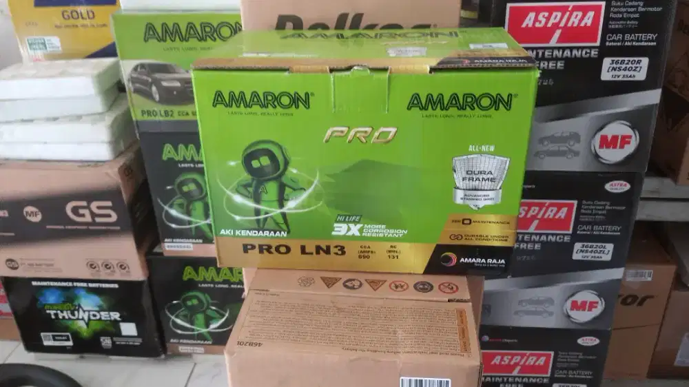 Aki Amaron jagonya aki kering
