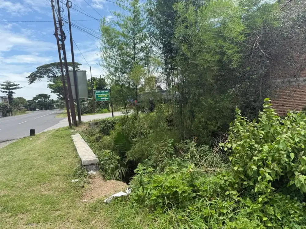 Dijual Tanah 24754 m2 Cocok Untuk Pabrik di Desa Sambungmacan, Sragen, Jawa Tengah