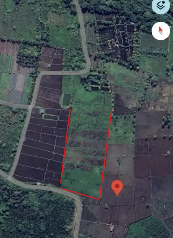 JUAL TANAH SAWAH DEKAT SMA N 5 BAUBAU AKSES JALAN TANI