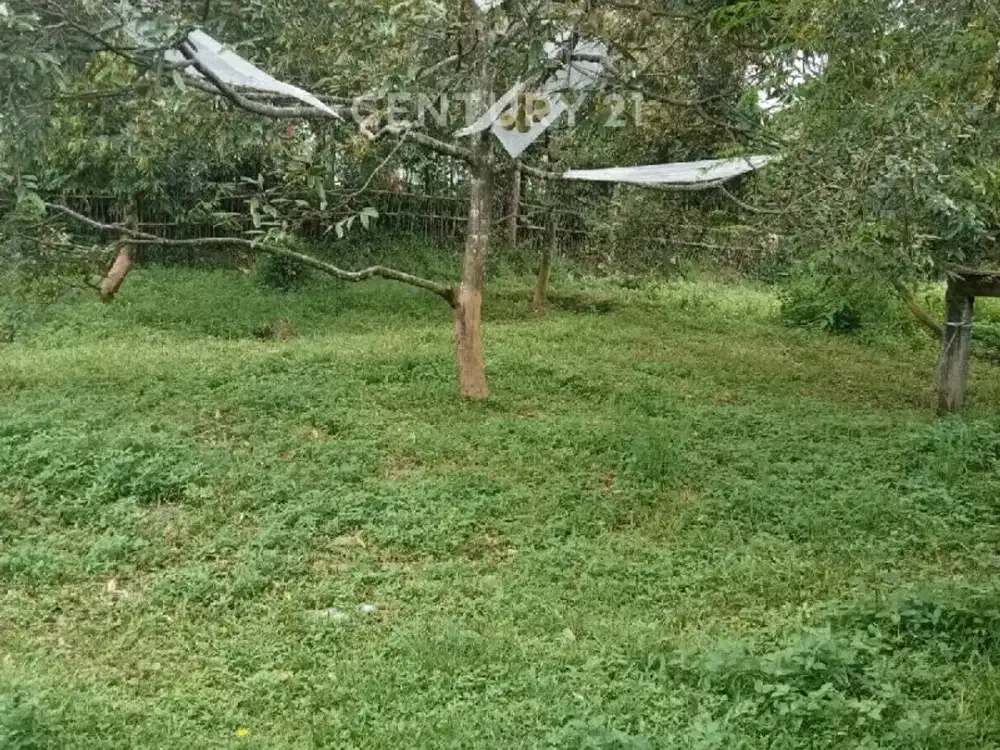 Dijual Tanah Perkebunan Daerah Sukorejo Kendal
