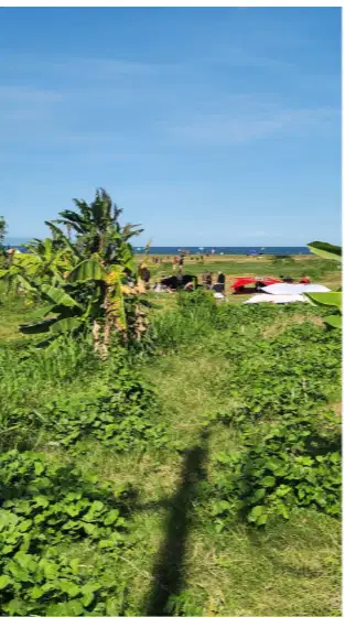 Tanah Loss Pantai di Padang Galak Sanur