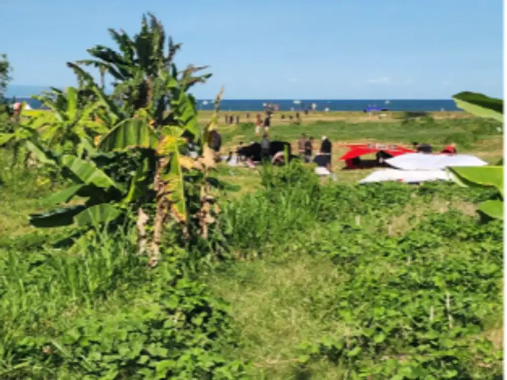 Tanah Loss Pantai di Padang Galak Sanur