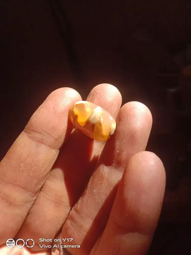 Batu lafazh natural karang nunggal
