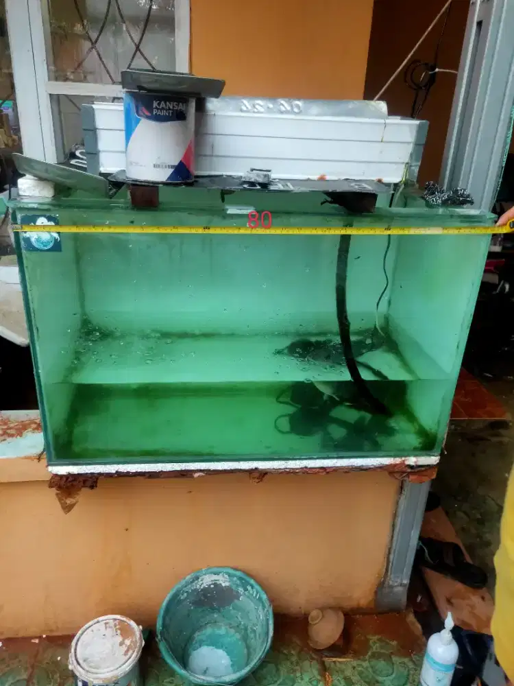 Aquarium ikan bekas
