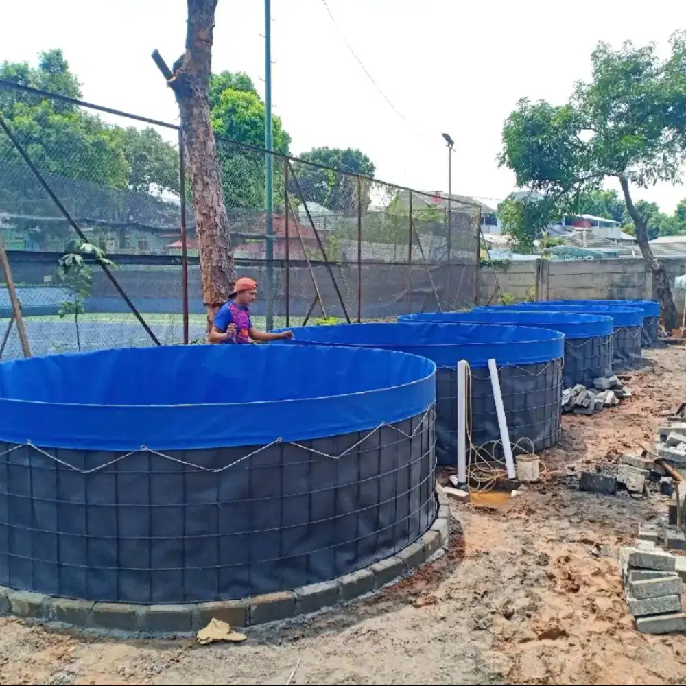 Kolam Terpal Orchid biru Bioflok Unggulan