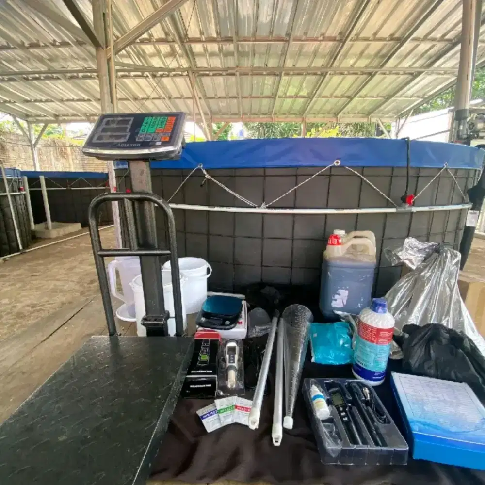Kolam Terpal Ikan Bioflok Orchid Premium