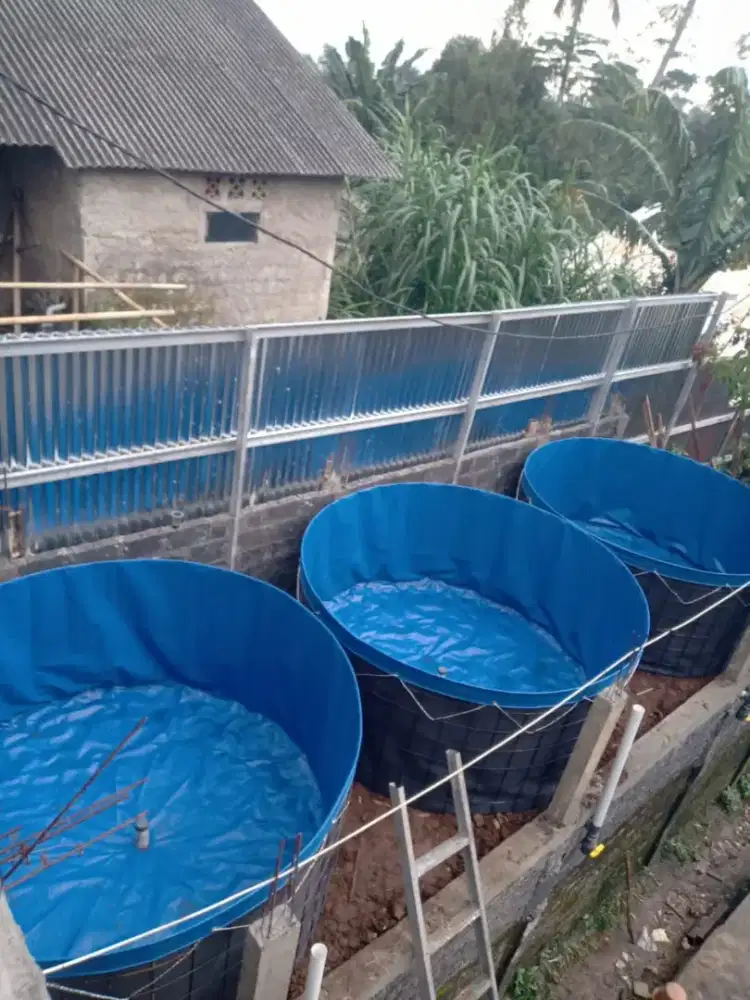 Kolam Ikan Terpal Bioflok Orchid Premium