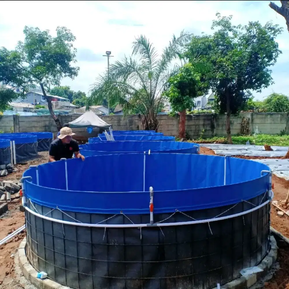 Kolam terpal ikan Orchid bioflok unggulan