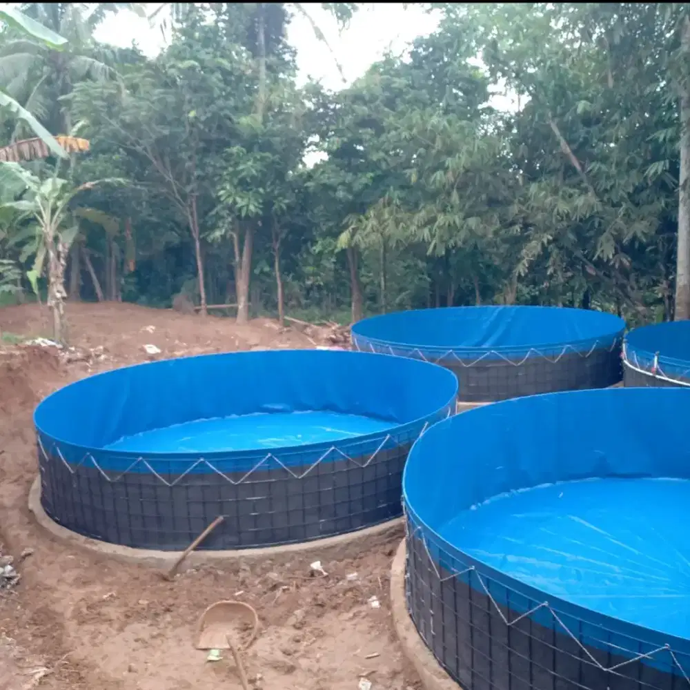 Kolam Bundar Bioflok Orchid Biru Premium