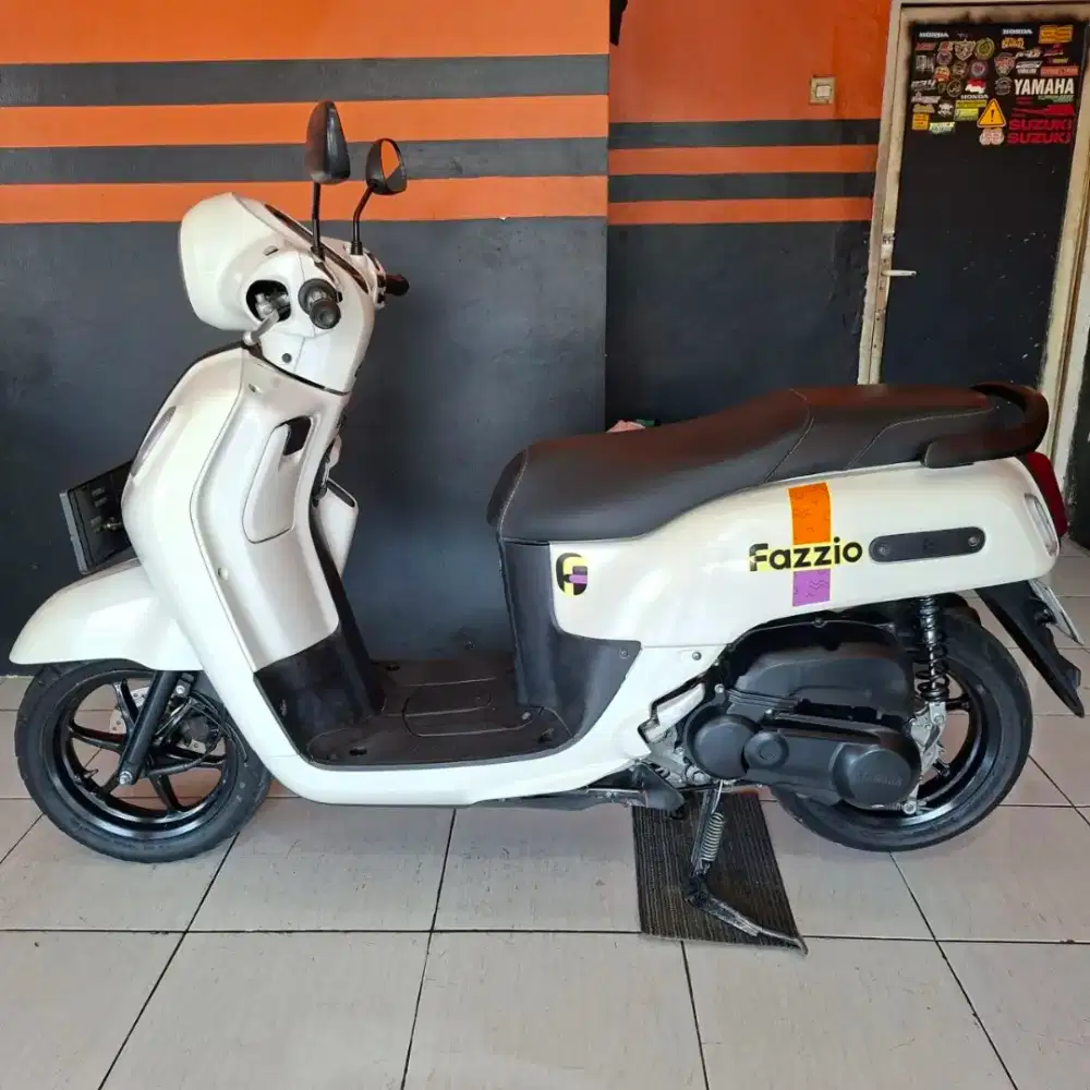 Fazzio taun 2023