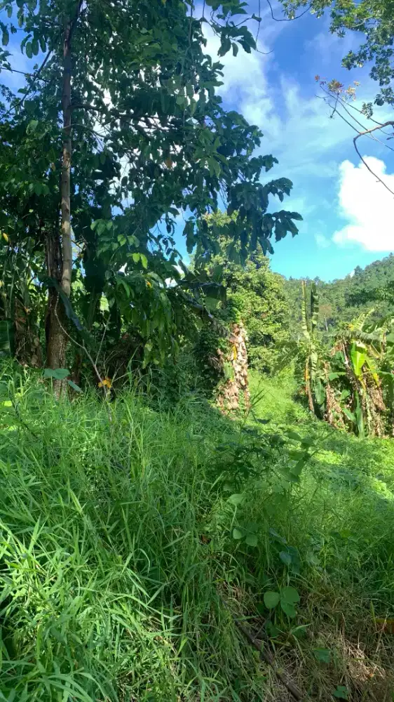 Tanah Dijual.Lokasi Pulaun Legundi
