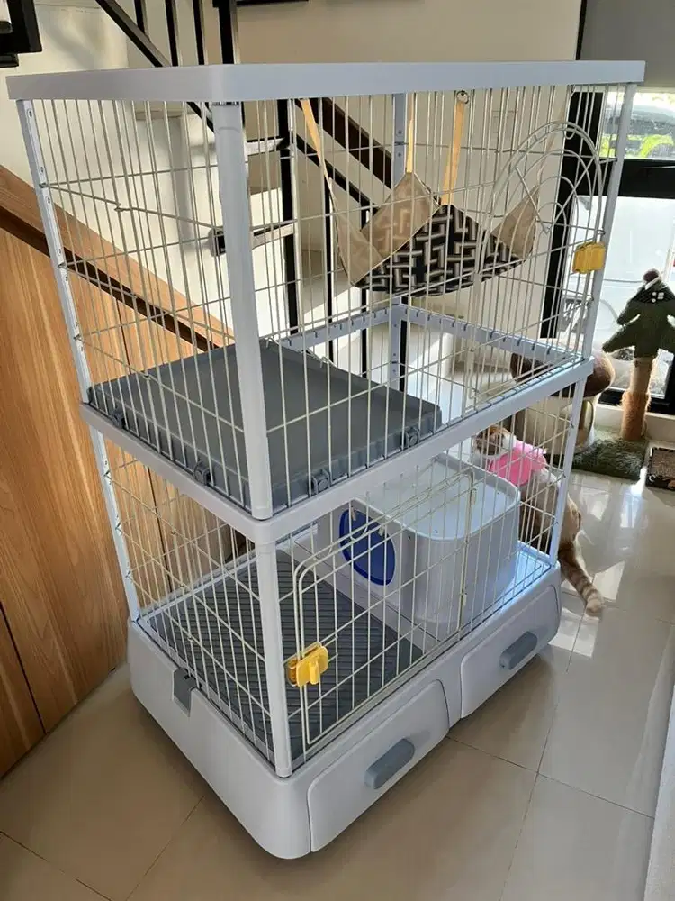 Kandang kucing tingkat