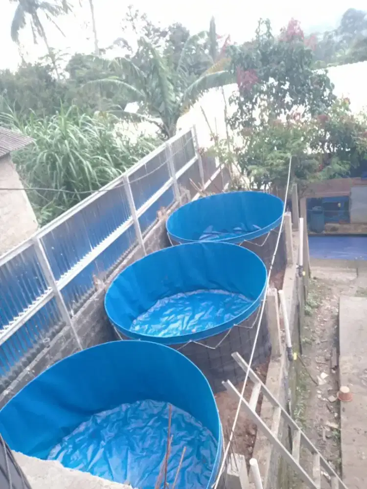 Kolam Bundar Bioflok bahan Orchid Premium