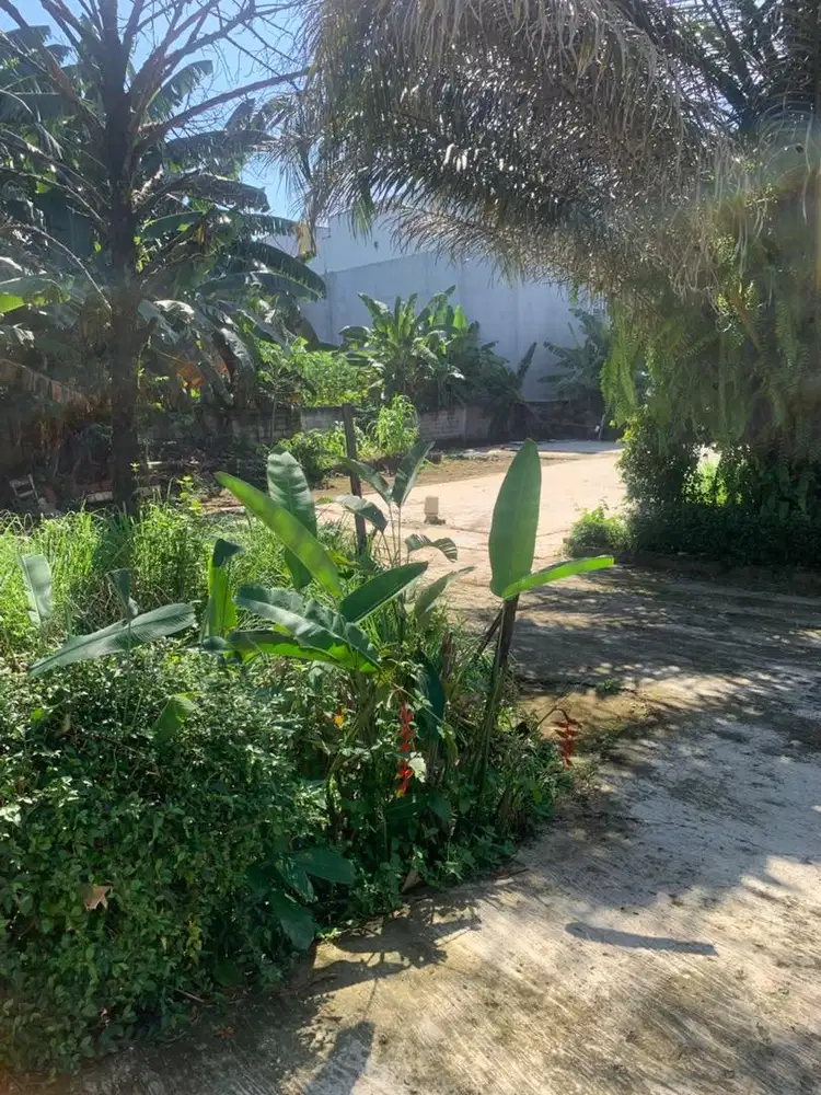 Di Jual Murah tanah Kavling di Jagakarsa
