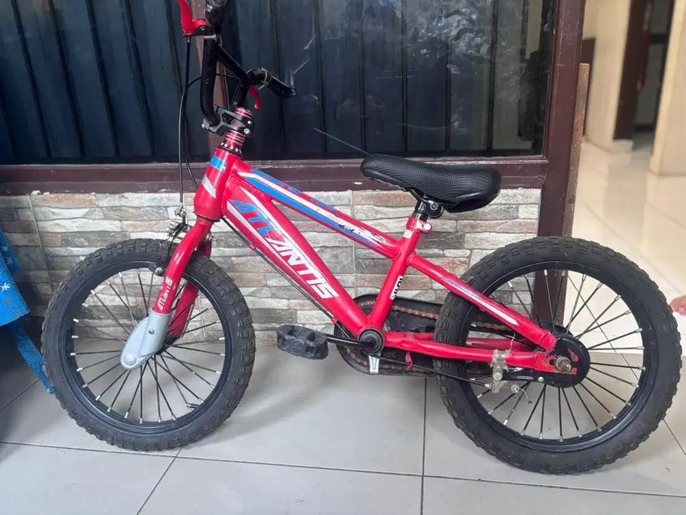 Sepeda anak laki laki