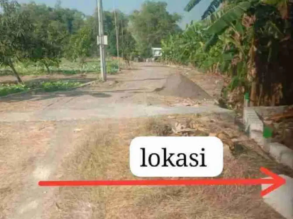 sisa 5 kavling dijual dibawah pasaran 27jtan/kavling uk 5x12an free suratnya lokasi di ds kedung ploso perbatasan cerme balong panggang 25 menit dari surabaya barat atau gresik kota.