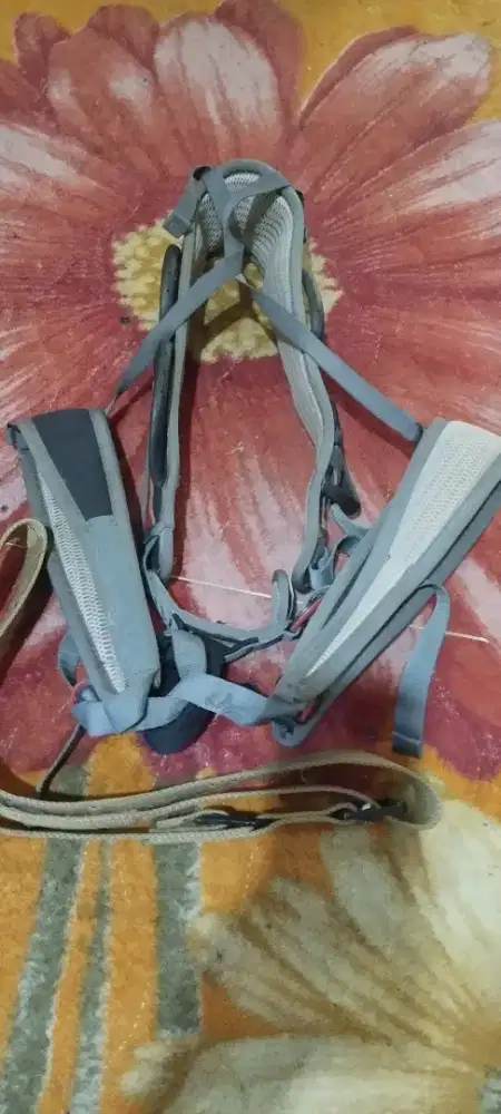 Harness climbing camp