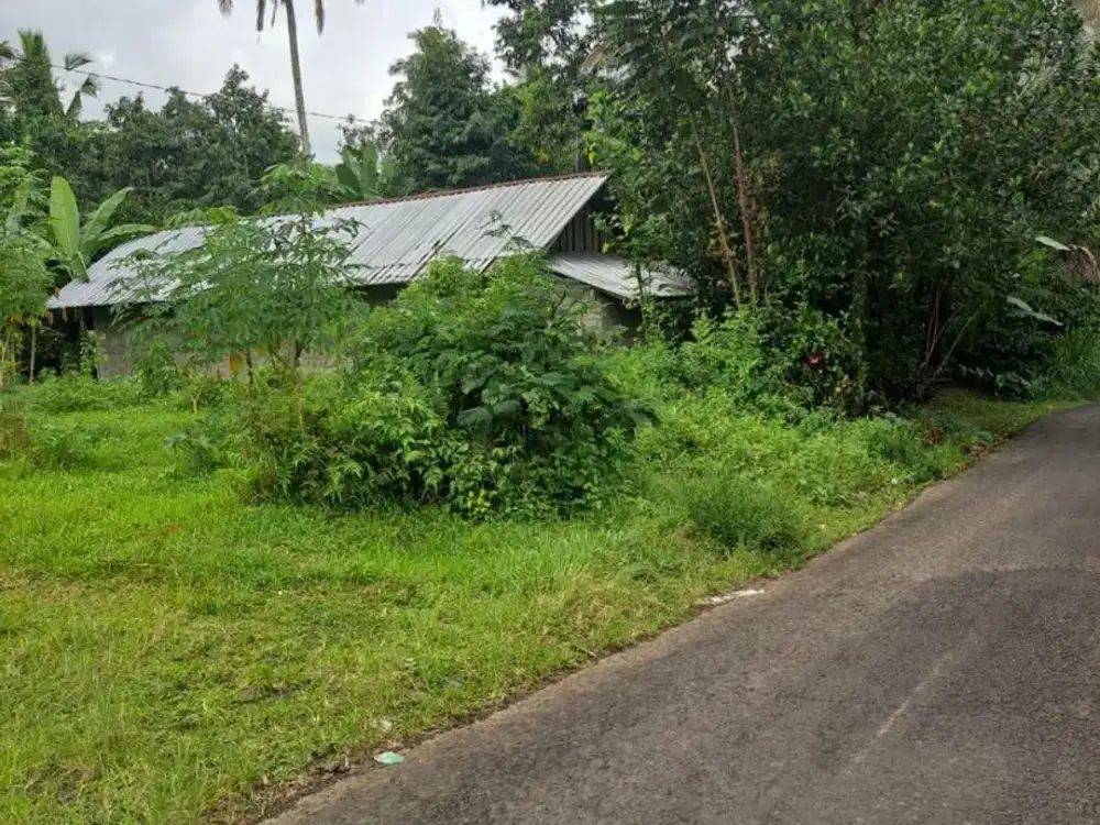 Tanah 2300 m2 Dijual, di jalan Lipah petang Kecamatan Petang Badung