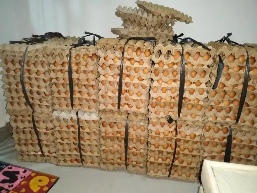 Makanan Berprotein Tinggi