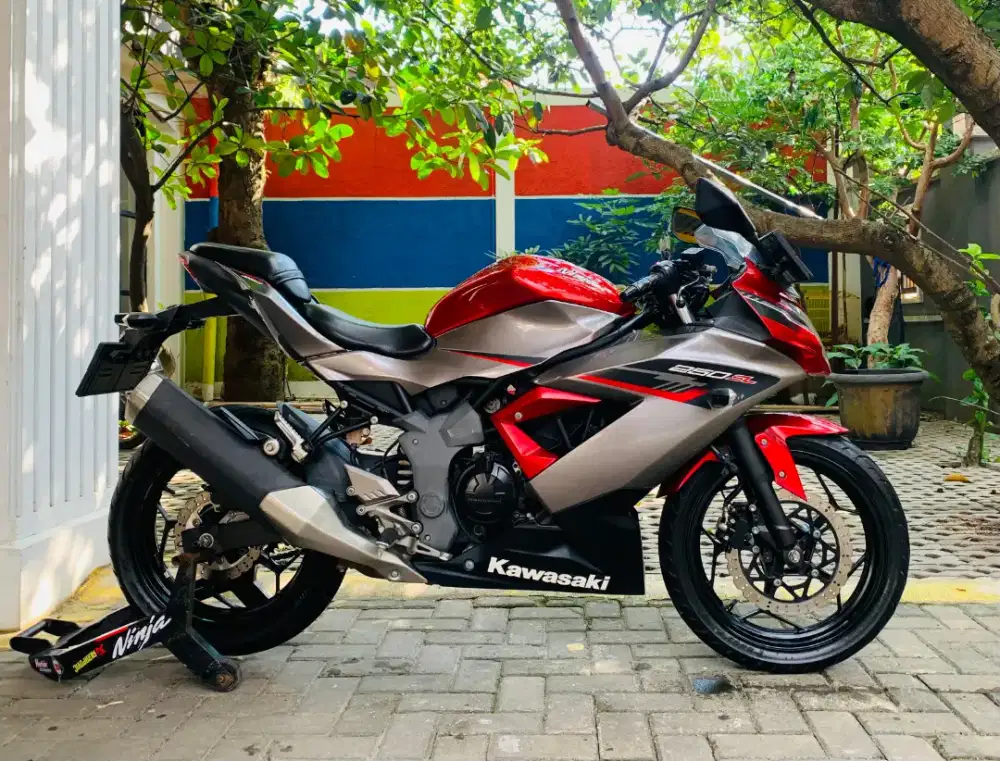 Kawasaki ninja 250 SL MONO