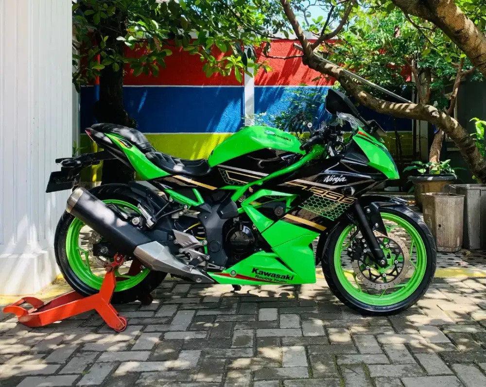 Kawasaki ninja 250 sl mono