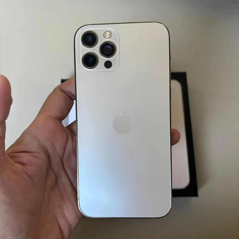iPhone 12 Pro 256GB Beacukai