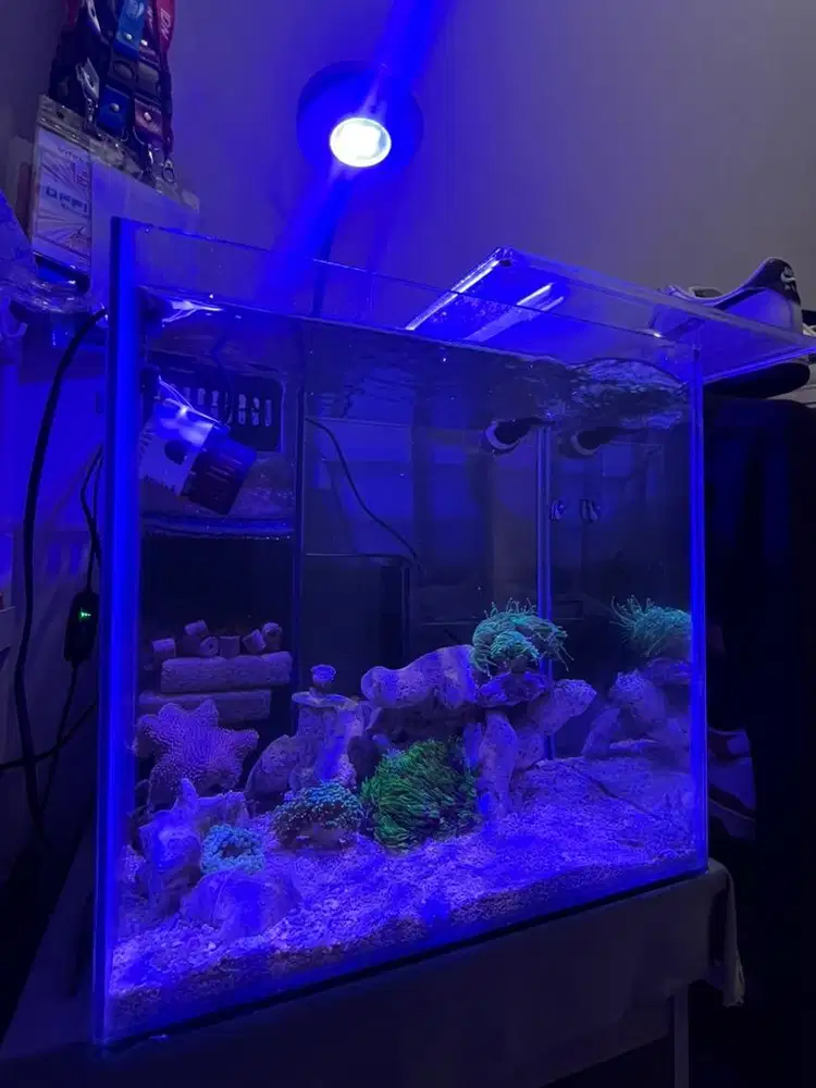 Aquarium 35 x 35 x 35 lengkap
