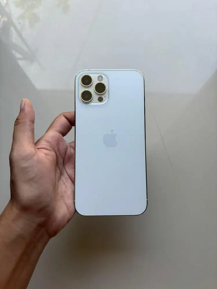 iPhone 12 Pro Max 256GB inter