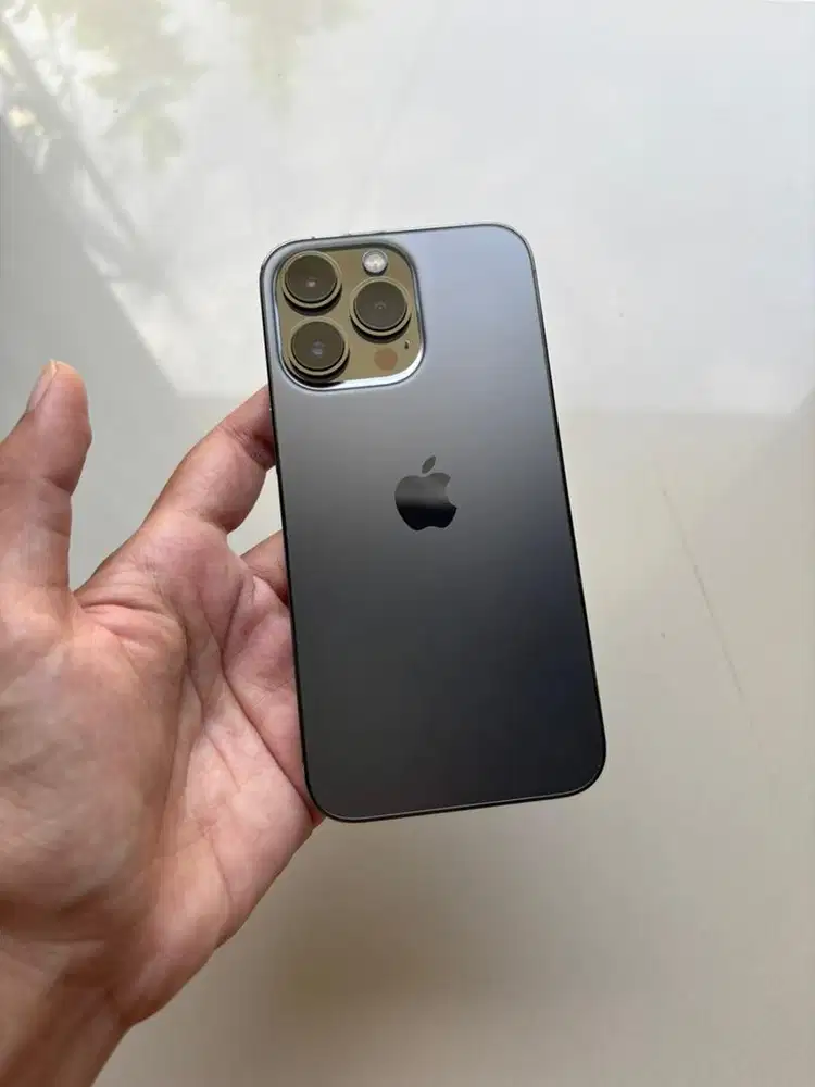 iPhone 13 Pro 256GB inter