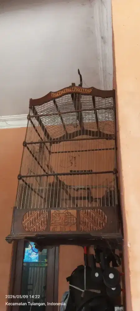 Sangkar burung jombo