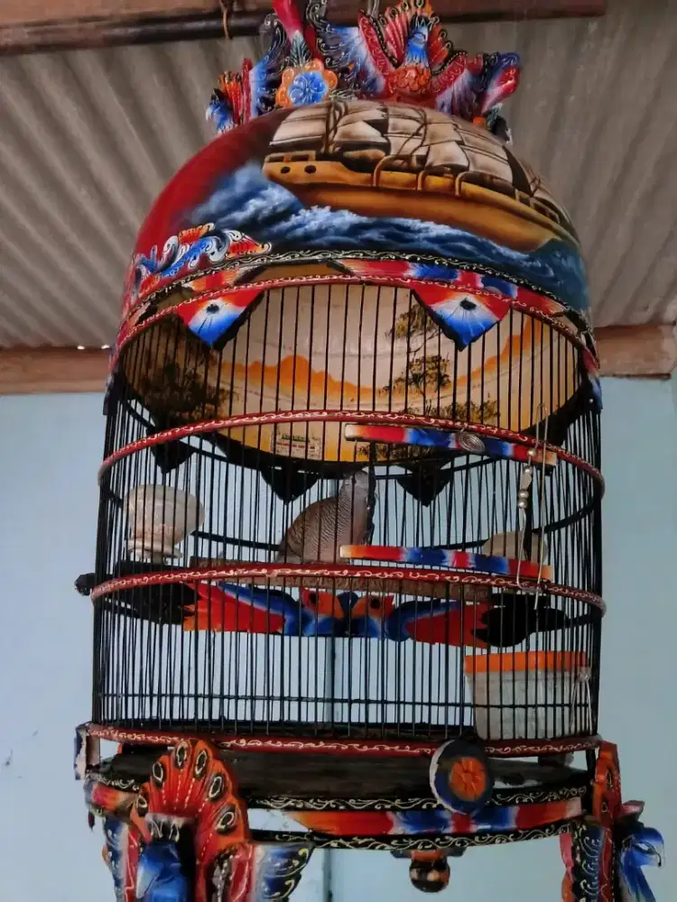 BURUNG PERKUTUT & KURUNGAN
