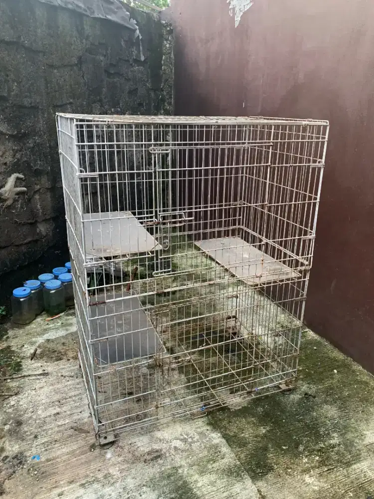 Kandang Kucing bekas, angkut secepatnya