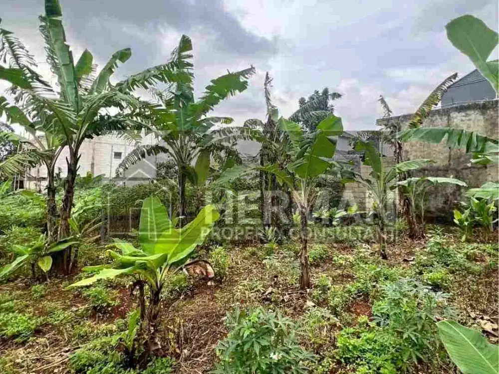 Tanah Tembalang Bulusan Selatan Undip