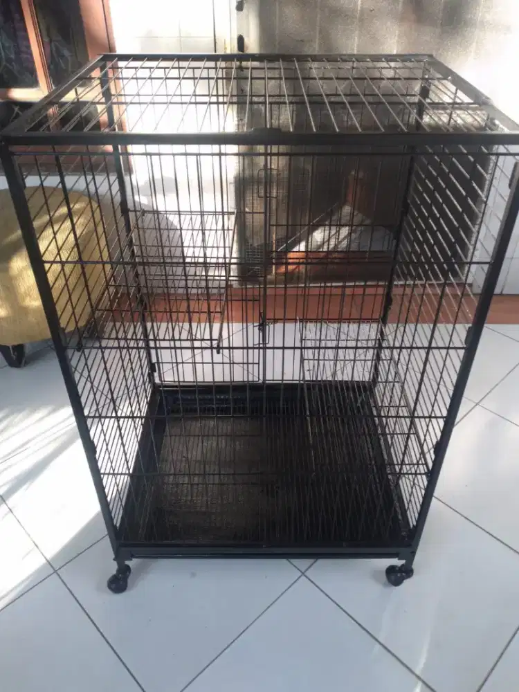 Dijual Kandang Kucing Besi