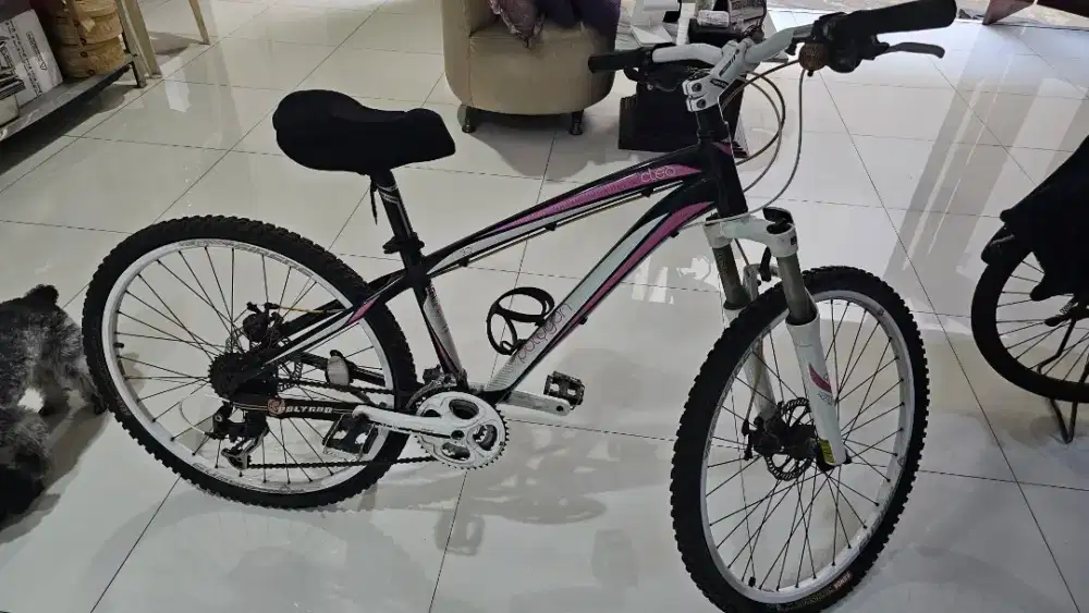WTS SEPEDA POLYGON CLEO 3.0