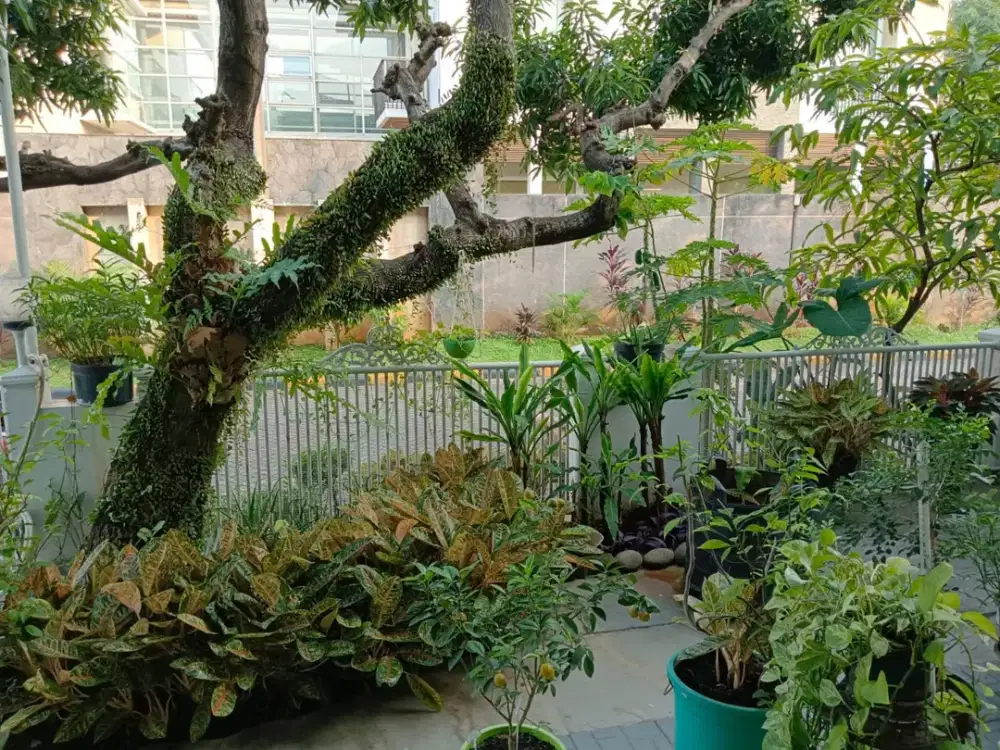 Dijual Rumah di Bumi Permata Indah, Uk.10x20m2, SHM, Semi Furnish