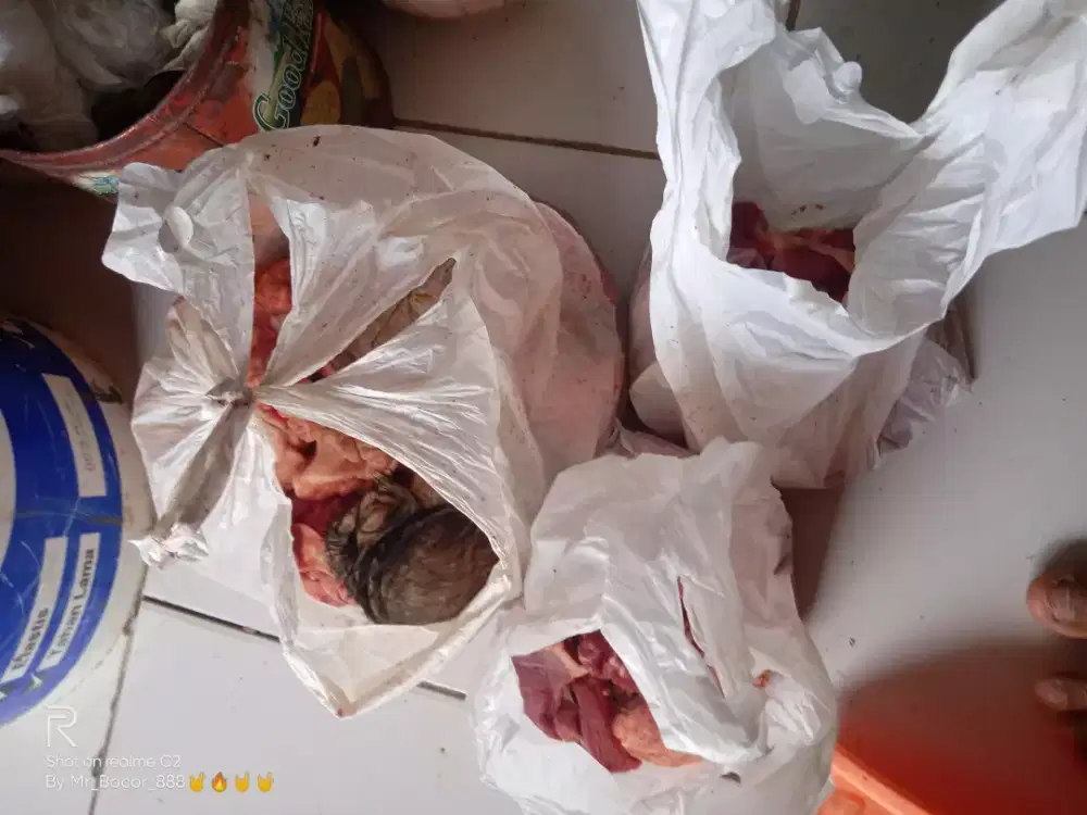 Daging kambing 3kantong,kaki kambing ad 6 Ama pala kambing 1