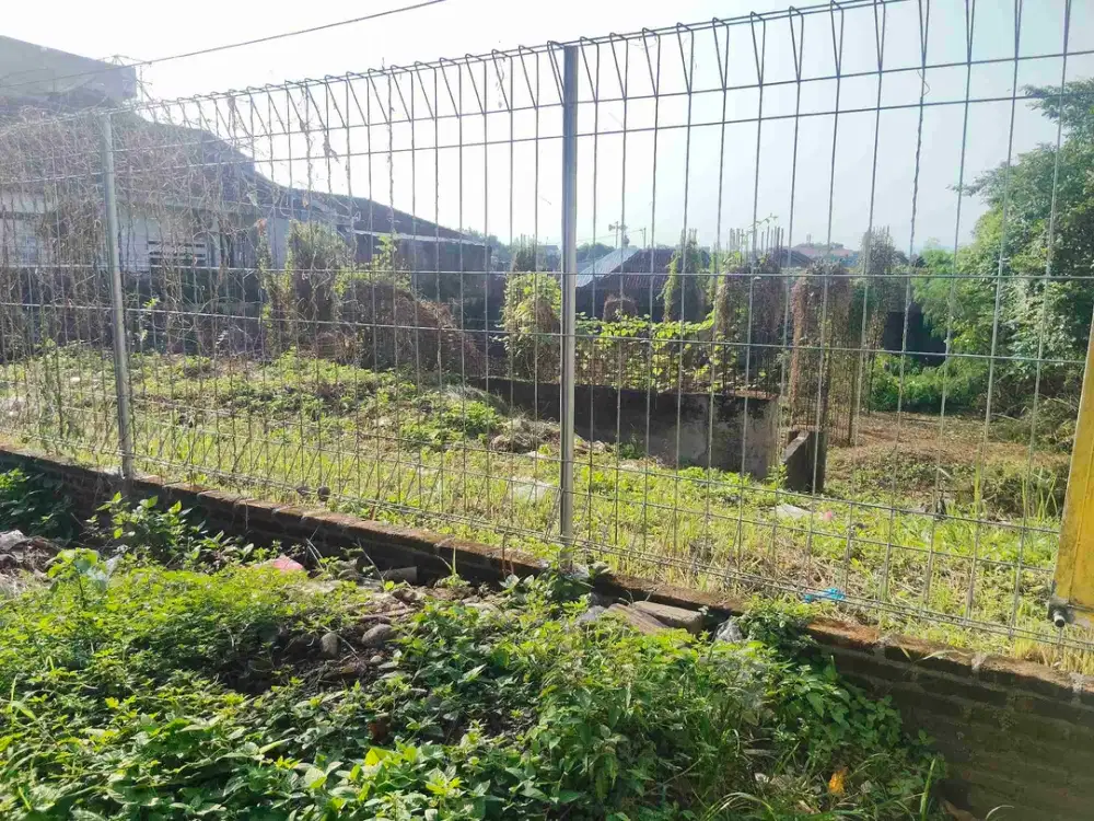 Dijual tanah pinggir jalan propinsi jember