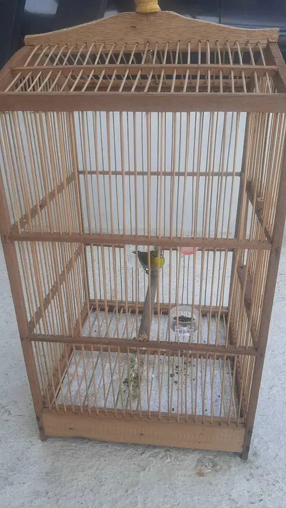Jual kandang fullset isinya