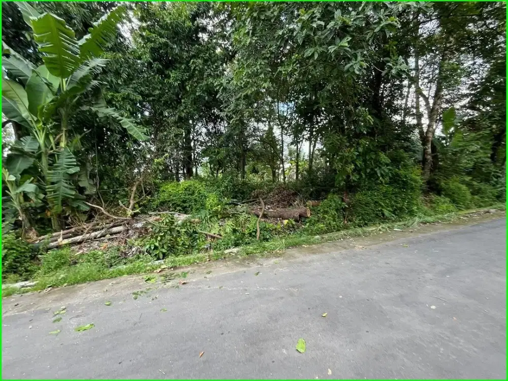 Dijual Tanah Jogja di Tirtomartani Dekat Candi Prambanan
