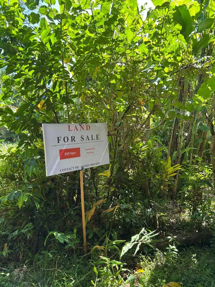 FOR SALE LAND FREEHOLD - TANAH DIJUAL SHM