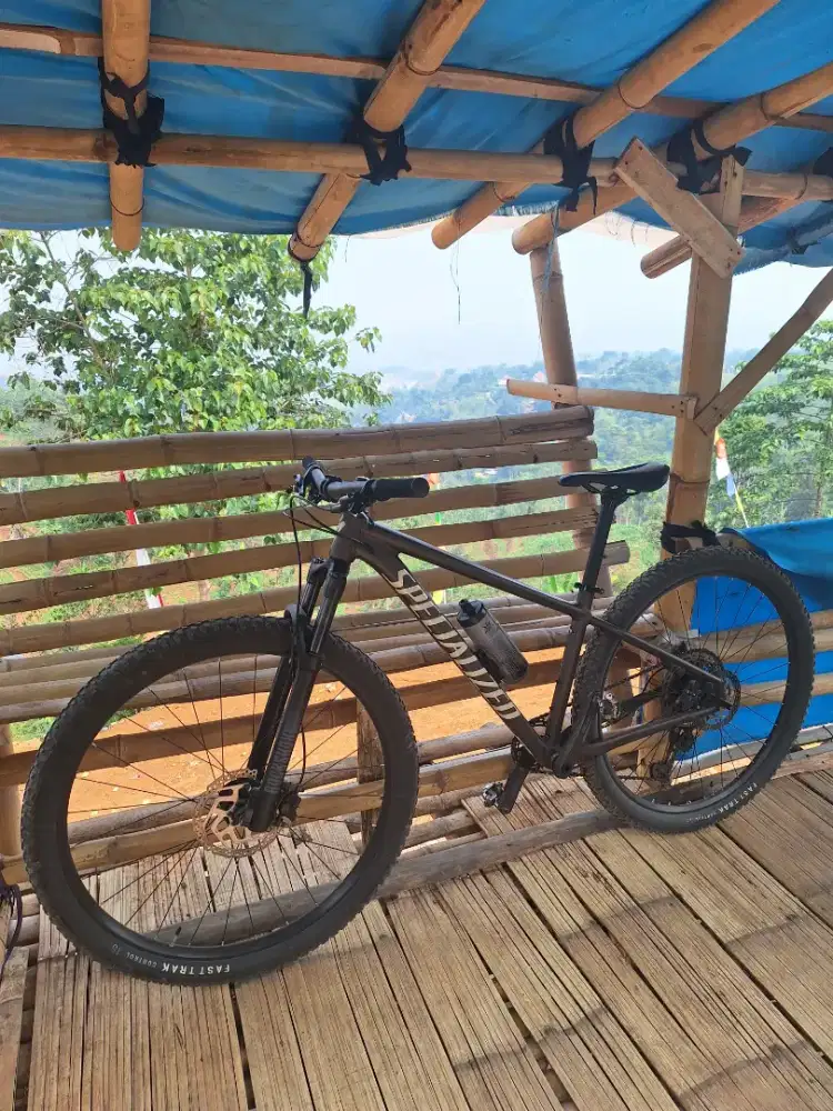 Specialized rockhopper 29er xc
