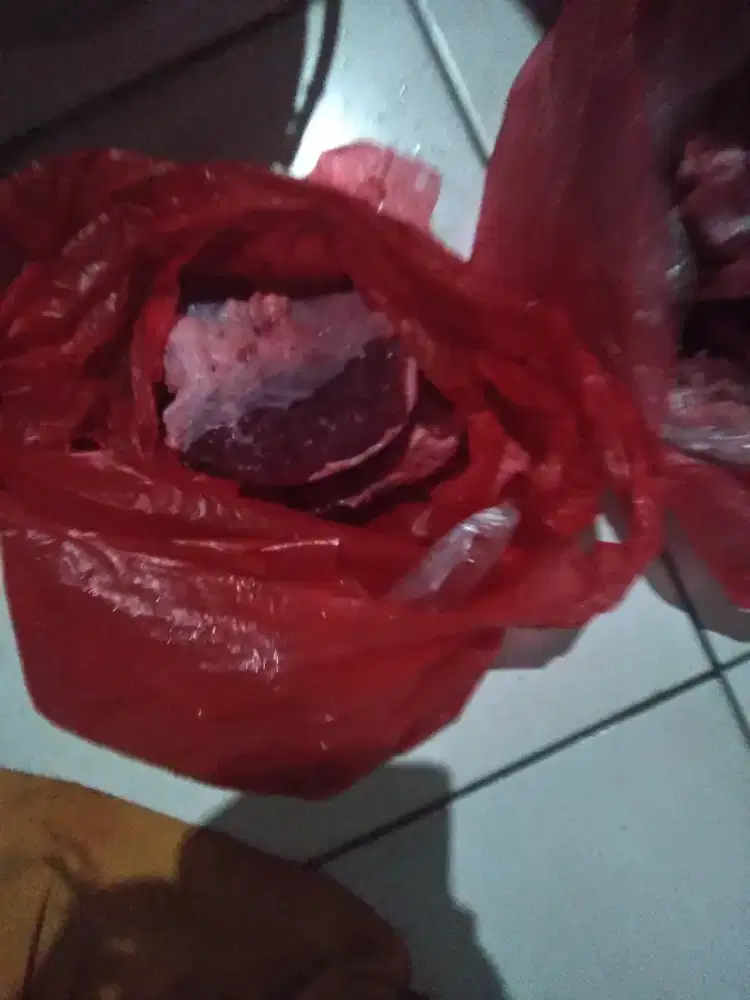 daging sapi full daging