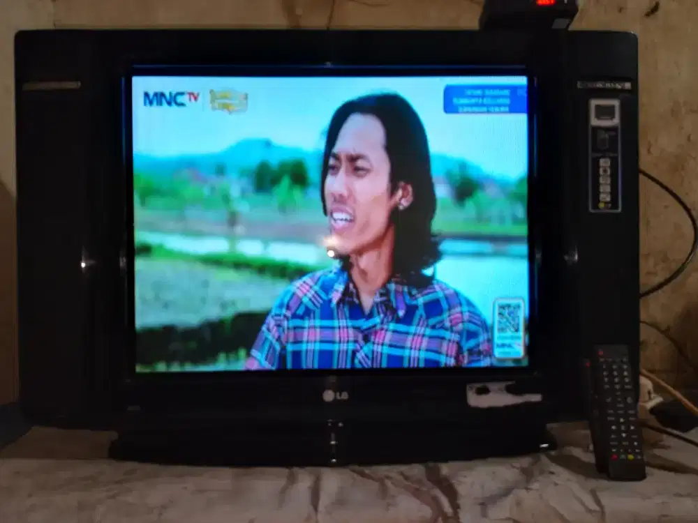 TV 29 LG slim + stb rmot