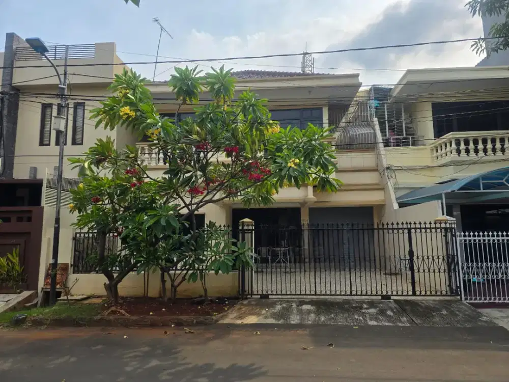 Rumah Kelapa Puan Timur, Kelapa Gading
