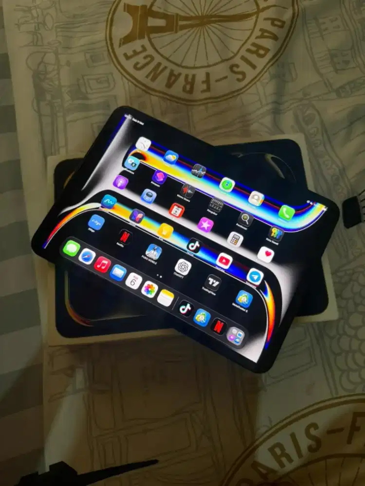 Ipad Pro M4 256gb