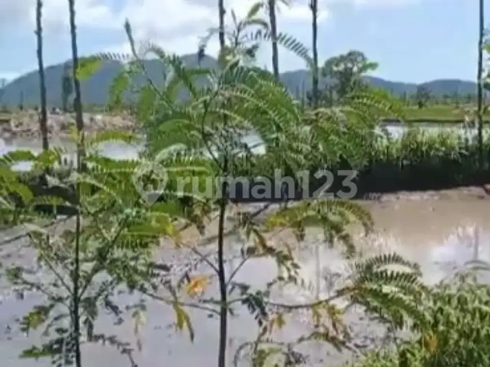 Dijual Tanah Bypass Tandek, Lombok Tengah–Lokasi Strategis