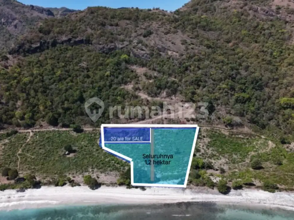 Dijual Tanah Phoenix Beach,Scar Reef, Jelenga,Jereweh, Sumbawa