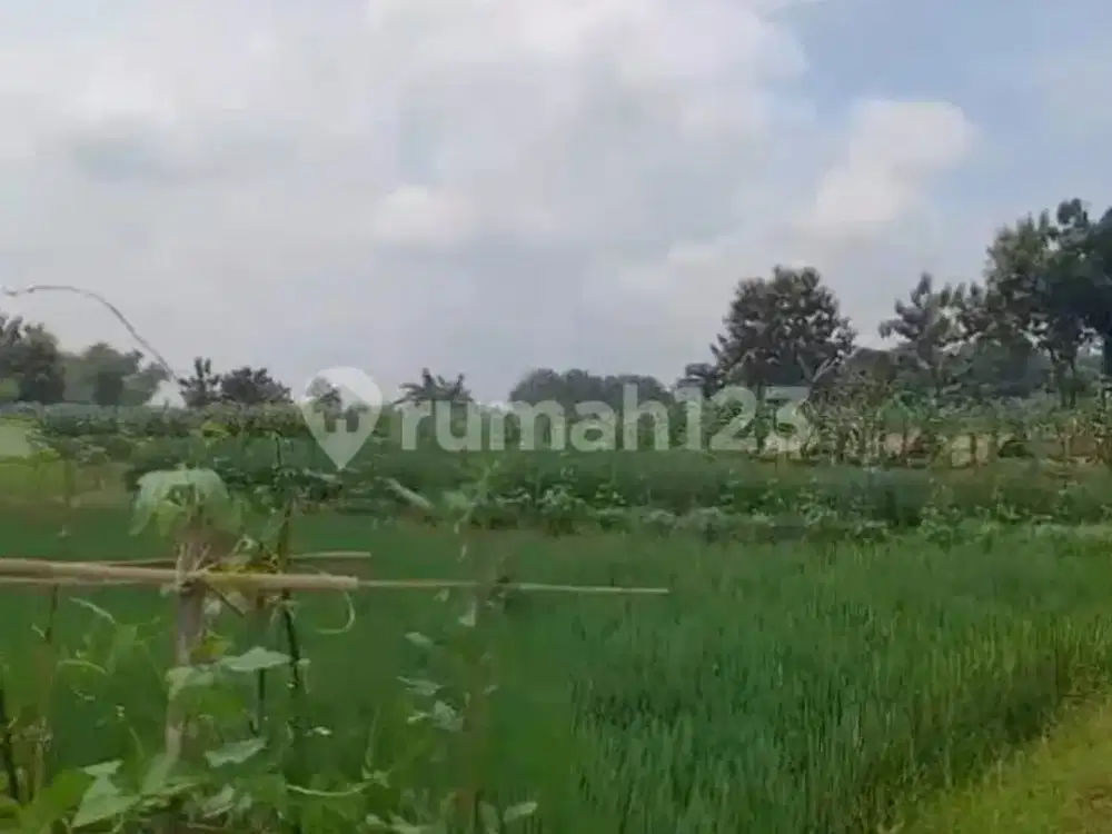 Dijual Tanah Strategis Pinggir Jl.raya Purwosari Padangan, Bojonegoro